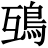 𩿍